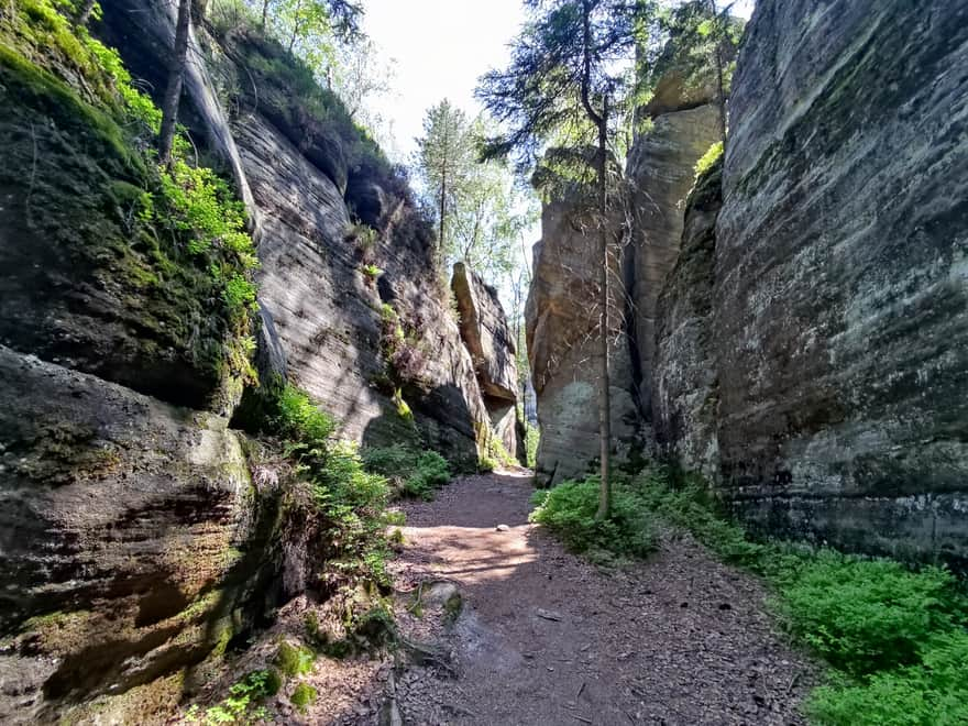 Teplice nad Metuji. Photo by Justyna