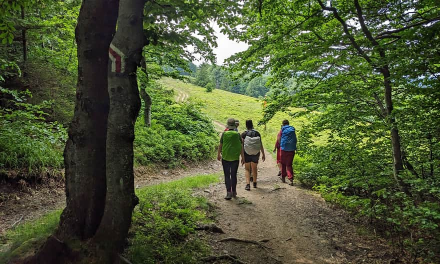 Red trail along the ridge of Pasma Jaworzyny Krynickiej