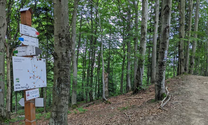 Trail junction below Makowica