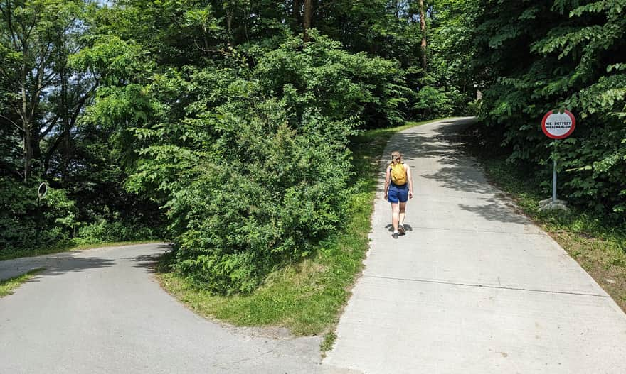 Road to the castle in Rytrze