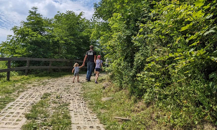 Approach to the castle in Rytrze