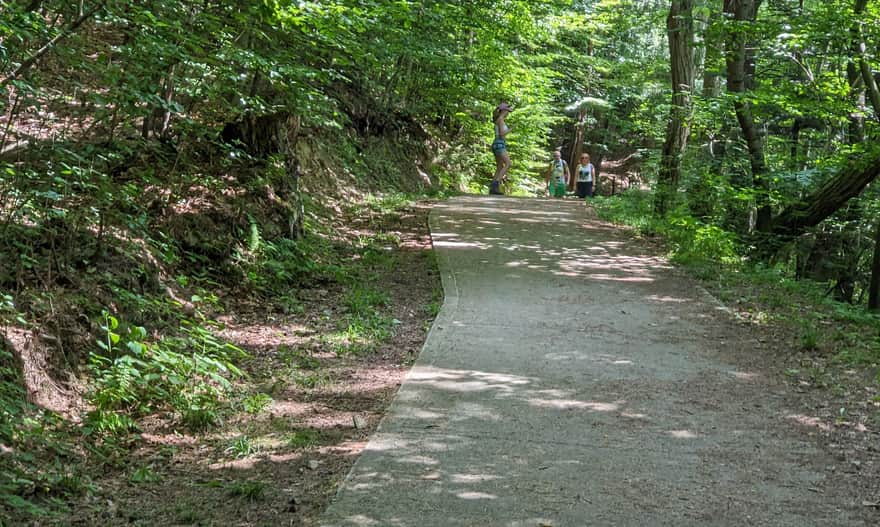 Walking and cycling path to the castle in Rytrze