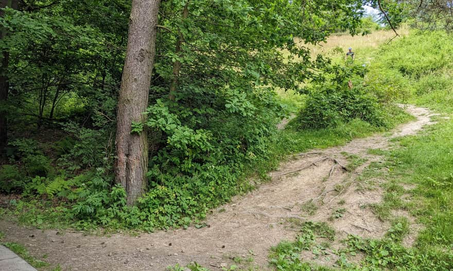 Shortcut through the meadow to the castle ruins in Rytrze