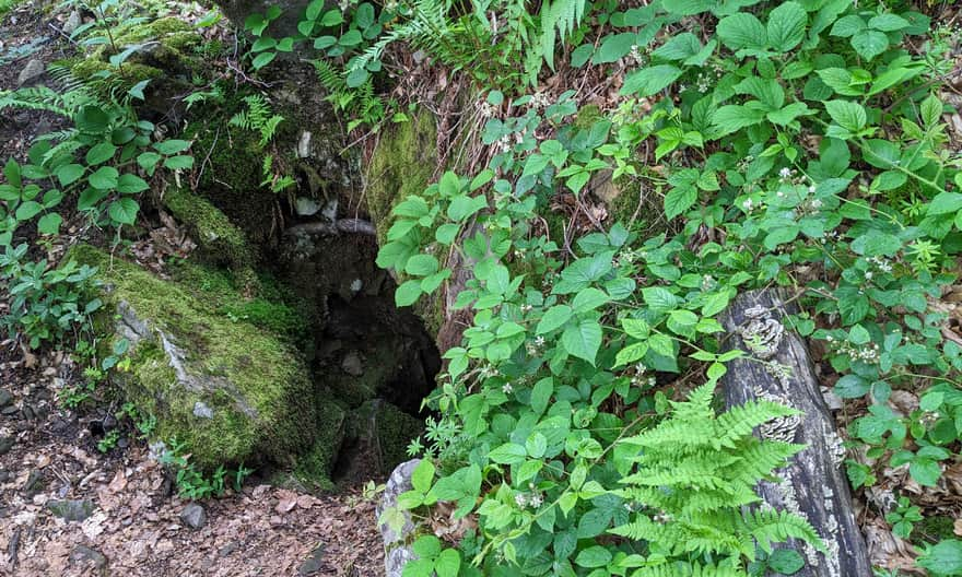 Cave "Studnia Grzybiarzy" on the yellow trail Łomnica-Zdrój - Hala Łabowska