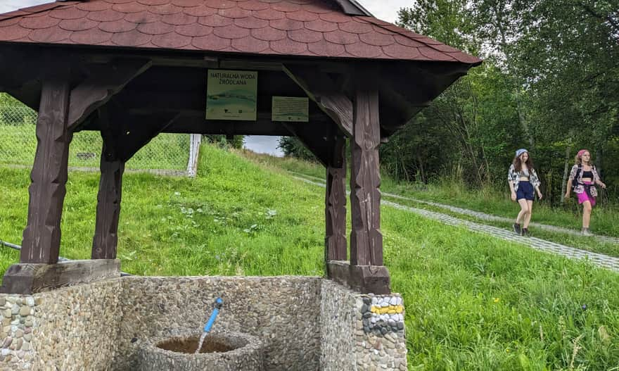 Źródełko przy żółtym szlaku Piwniczna-Zdrój - Jarzębaki - Hala Łabowska