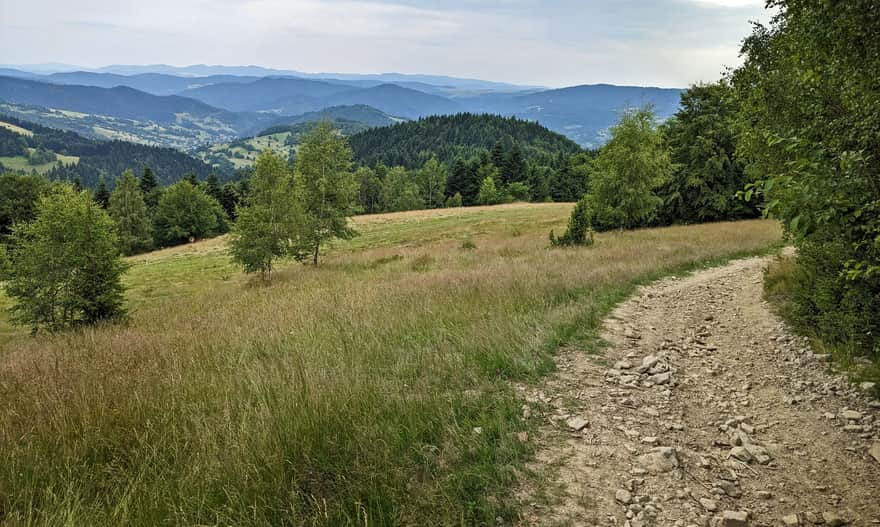 View to the south from Hala Szałasy Jarzębackie