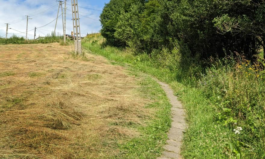 Red trail from Rytro to Brzozowy Gronik, Kordowiec, Niemcowa, Wielki Rogacz, and Radziejowa