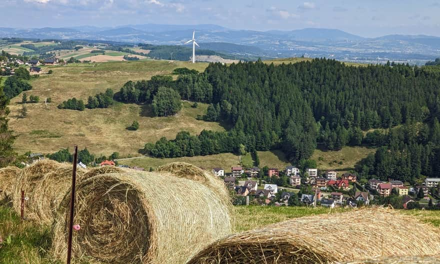 Widok z Brzozowego Gronika na Rytro, wzgórze Połom z wiatrakiem i Beskid Wyspowy w tle