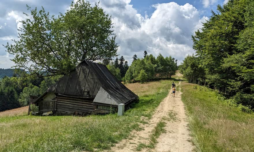 Red trail from Rytra to Niemcowa - Polana Poczekaj