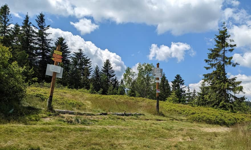 Niemcowa - intersection of the red and yellow trails