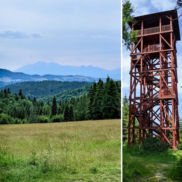 Shortest Trail to the Lookout Tower on Eliaszówka