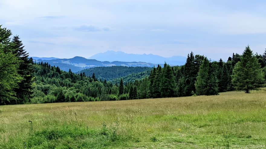 Tatra Mountains from Obidza, Litawcowa Meadow