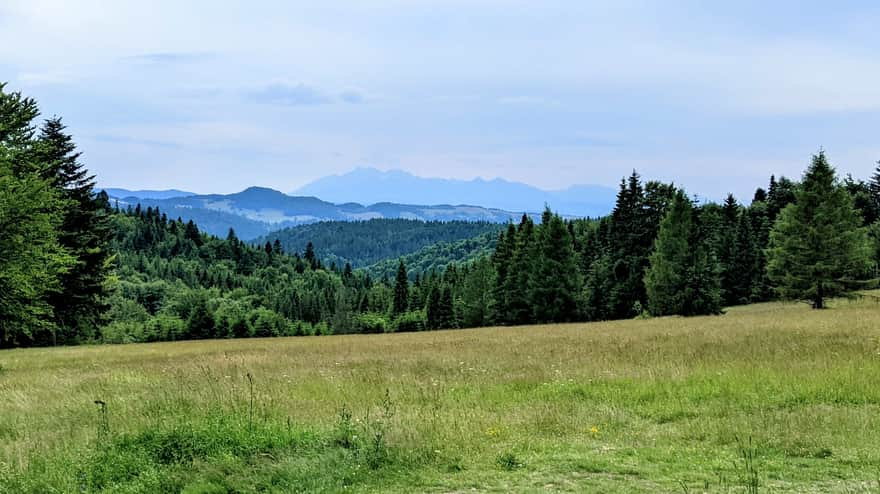 Tatry z Obidzy, Polana Litawcowa