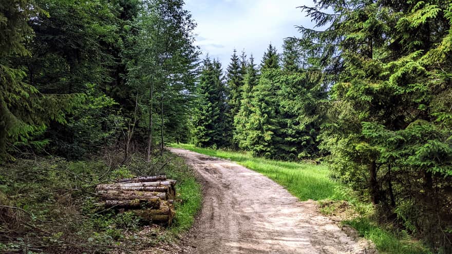 Trail from Obidza to Eliaszówka