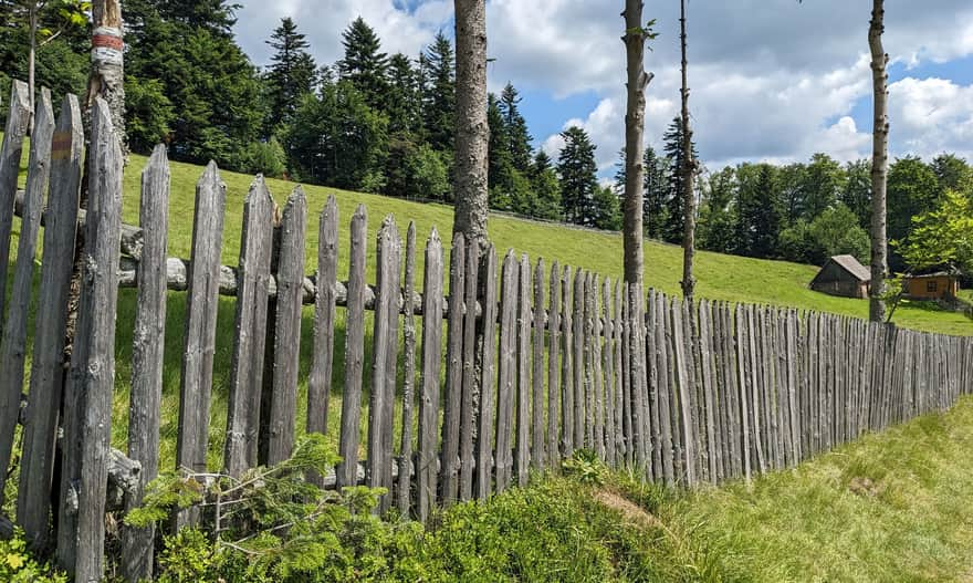 Niemcowa meadow.