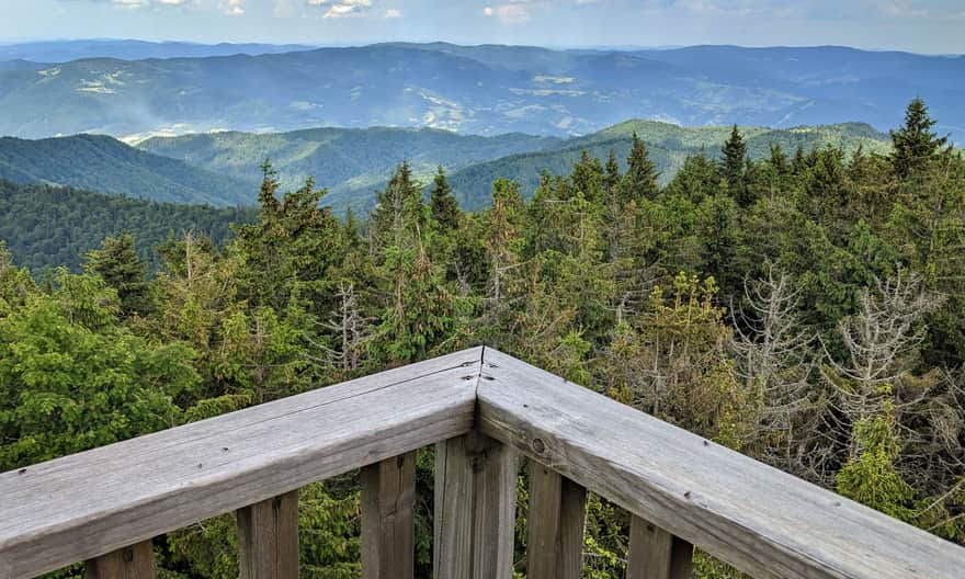 Radziejowa, 1266 m above sea level. View to the east (Jaworzyna Krynicka Range)