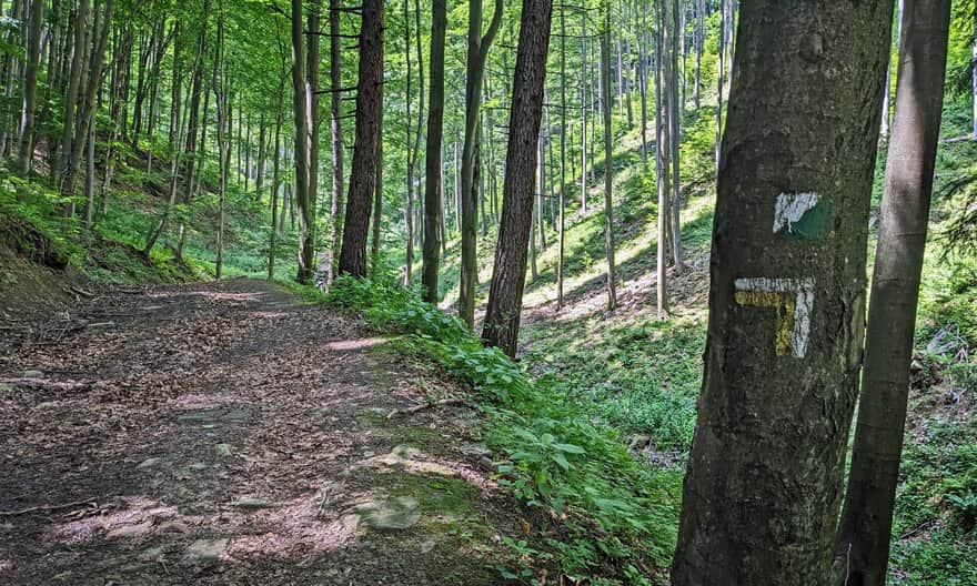 Yellow trail from Rytra to Przełęcz Żłobki and white-green signs of the "Rogasiowy Trail"