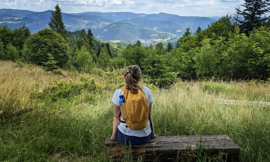 Yellow Trail Piwniczna Zdrój - Kamienny Groń - Niemcowa