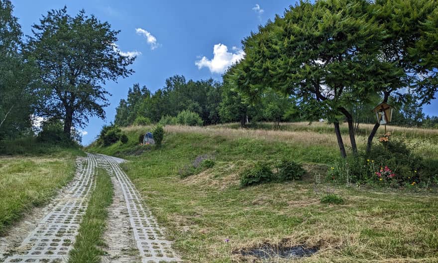 Yellow Trail Piwniczna Zdrój - Kamienny Groń - Niemcowa