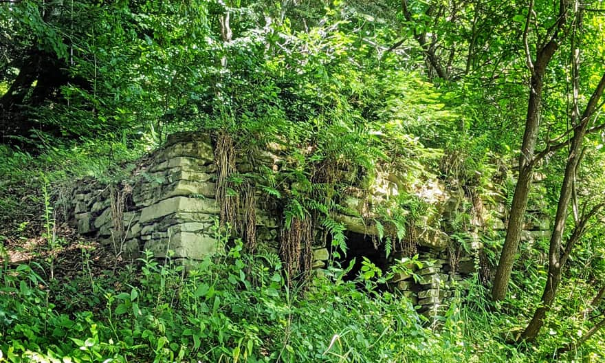 Fundamenty "górskiej szkoły" na Niemcowej - powyżej drogi. Fot. Krzysiek