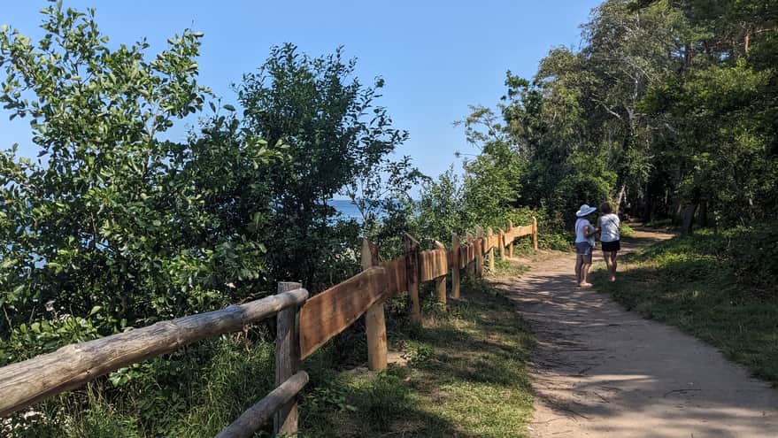 Path on the Rewal-Trzęsacz cliff