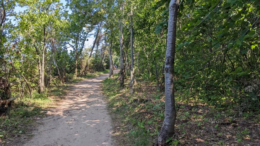 Path on the Rewal-Trzęsacz cliff