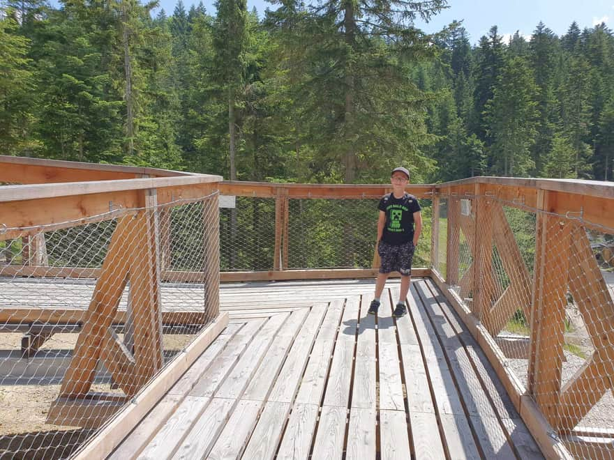 Treetop Path at Gorce Gate