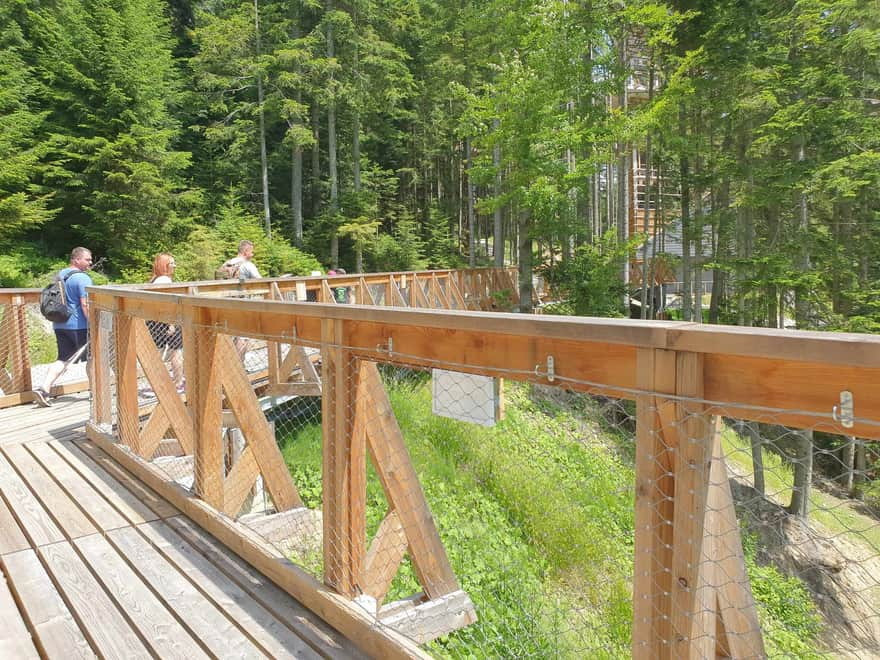 Treetop Path at Gorce Gate