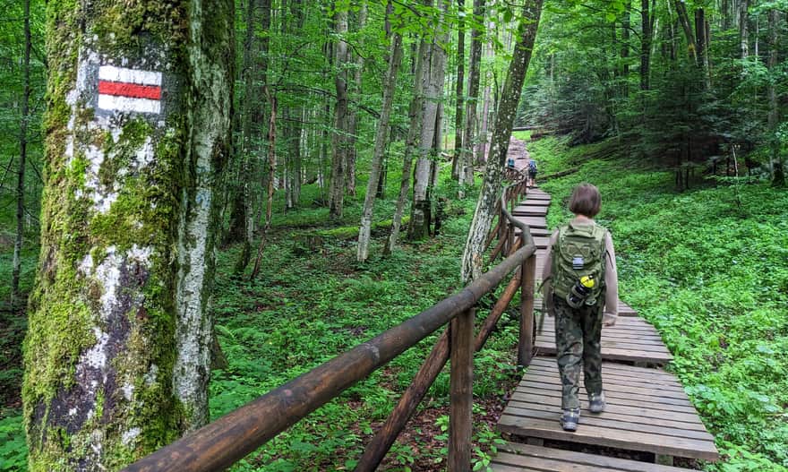 Red trail from Ustrzyki Górne through Szeroki Wierch to Tarnica