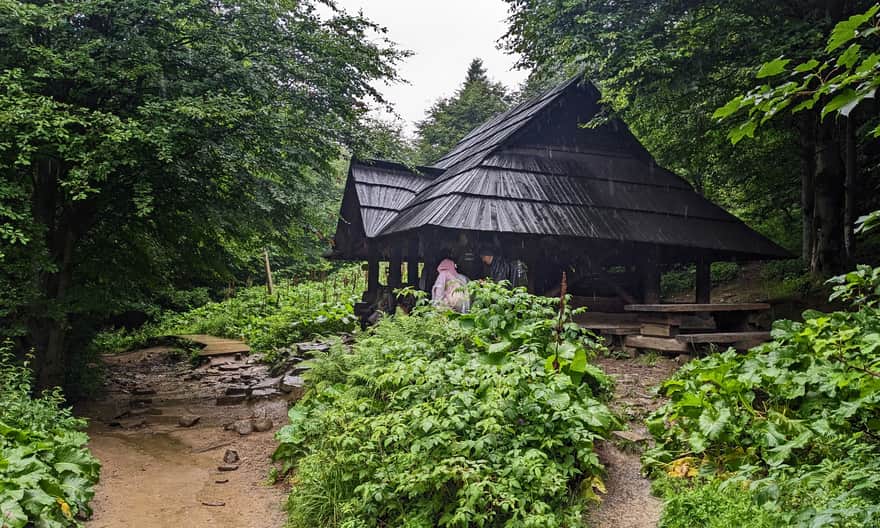 Shelter on the Blue Trail to Tarnica from Wołosate