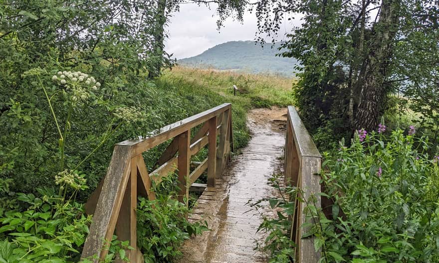 Starting point of the Blue Trail from Wołosate to Tarnica