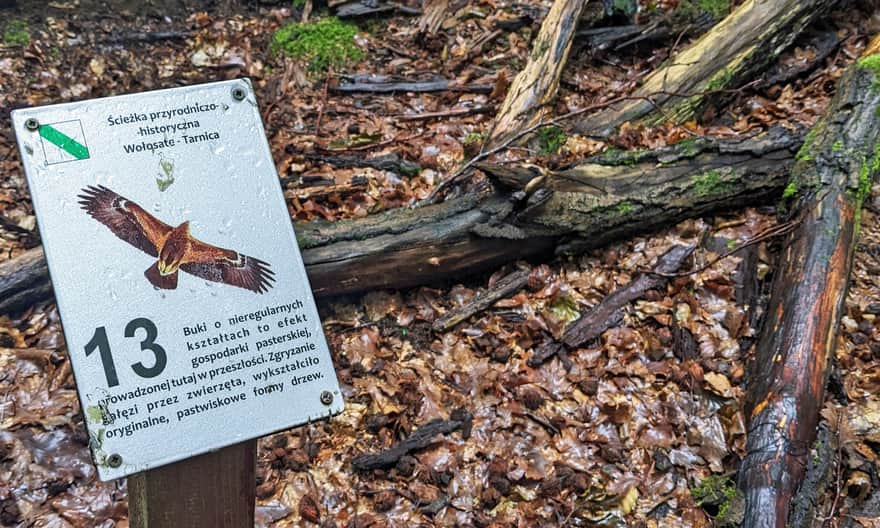 Ścieżka przyrodniczo-historyczna Wołosate - Tarnica