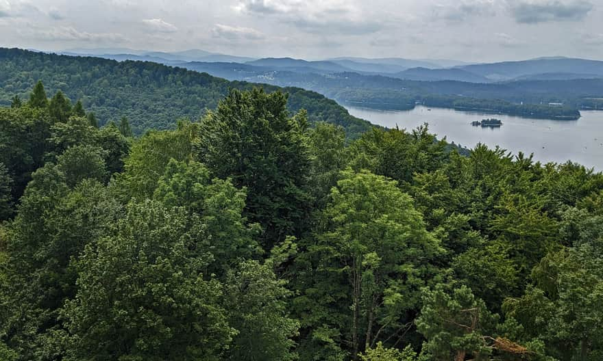 View from the Mount Jawor Observation Tower in Solina