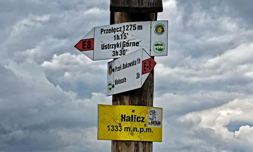 Halicz - peak at 1333 m above sea level. Photo by Anna and Wojciech Dąbrowscy