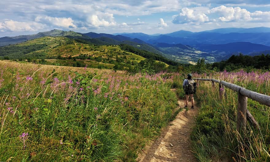 View from the road to Rozsypaniec to the south, towards Bukowska Pass, photo by Anna and Wojciech Dąbrowscy