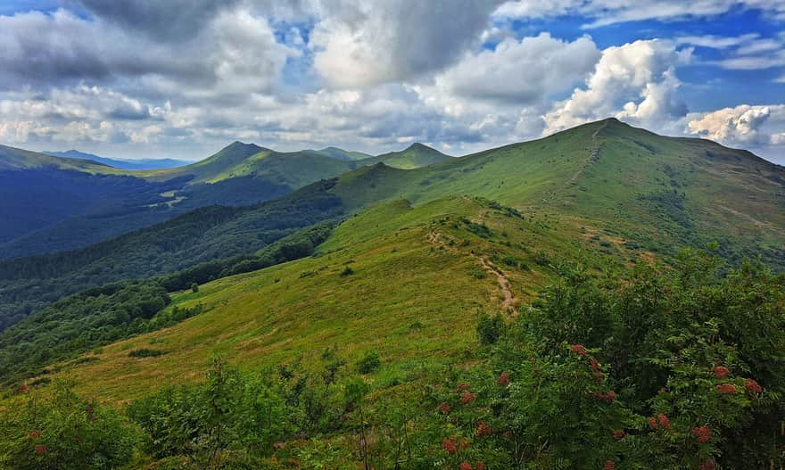 The most beautiful section of the red trail: Rozsypaniec and Halicz, followed by Krzemień, Kopa Bukowska, and Bukowe Berdo, and in the distance, the meadows: Caryńska and Wetlińska. Photo by Anna and Wojciech Dąbrowscy