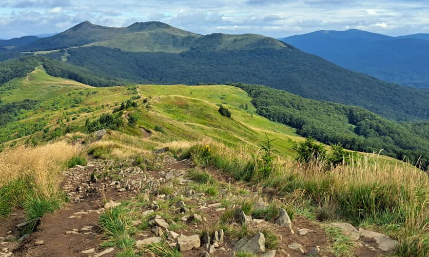 Red trail to Smerek, view to the south: Osadzki Wierch and Wetlińska Polonina. Photo by Anna and Wojciech Dąbrowscy