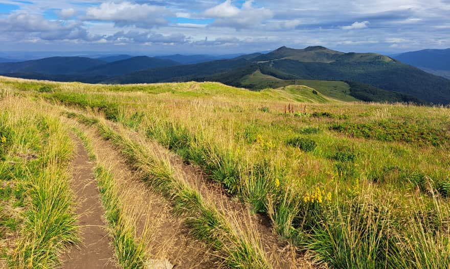 Red trail from Smerek to Wetlina Polonina. Photo by Anna and Wojciech Dąbrowski