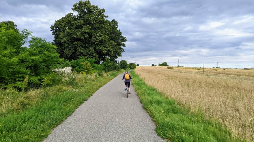 Bike path from Żarki to the town of Mirów
