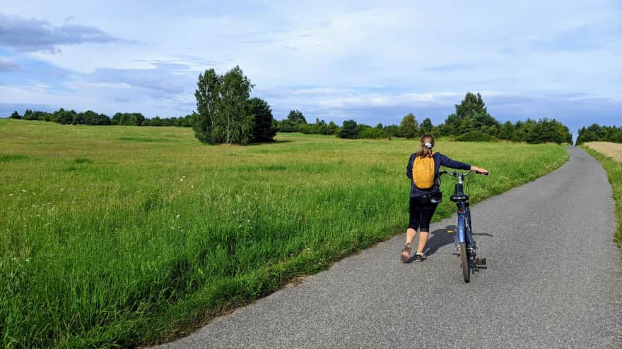 Picturesque bicycle route from Żarki to Mirow - Mirowski Inn