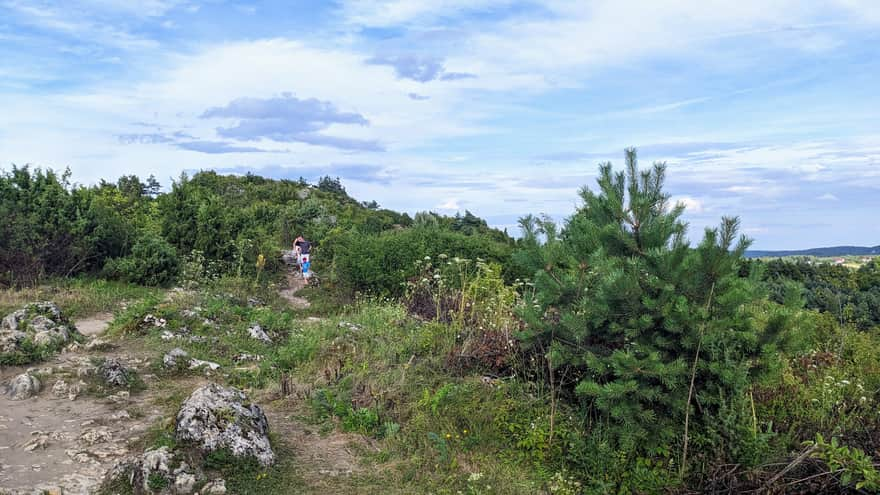 Rocky path connecting Mirów and Bobolice castles