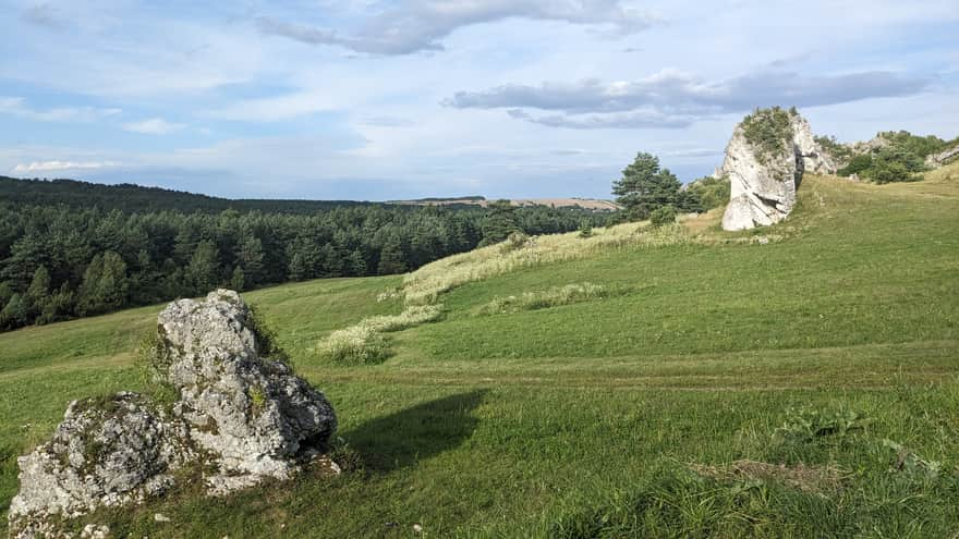 Meadows under the castle in Mirow