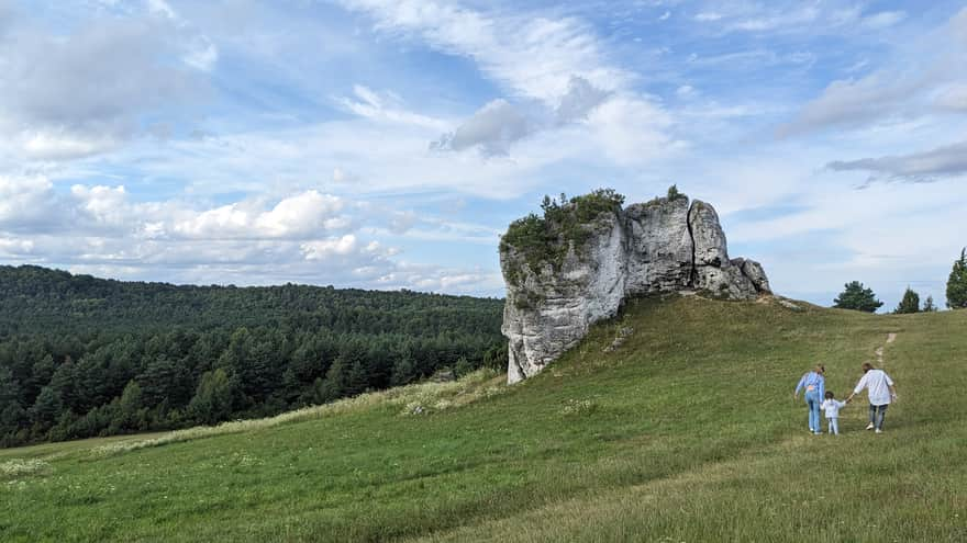 Meadows under the castle in Mirow