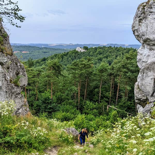 Góra Zborów - pętla szlakami PTTK