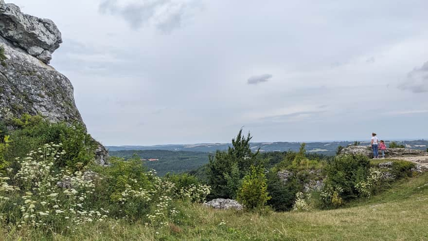 Zborów Mountain, Kraków-Częstochowa Upland