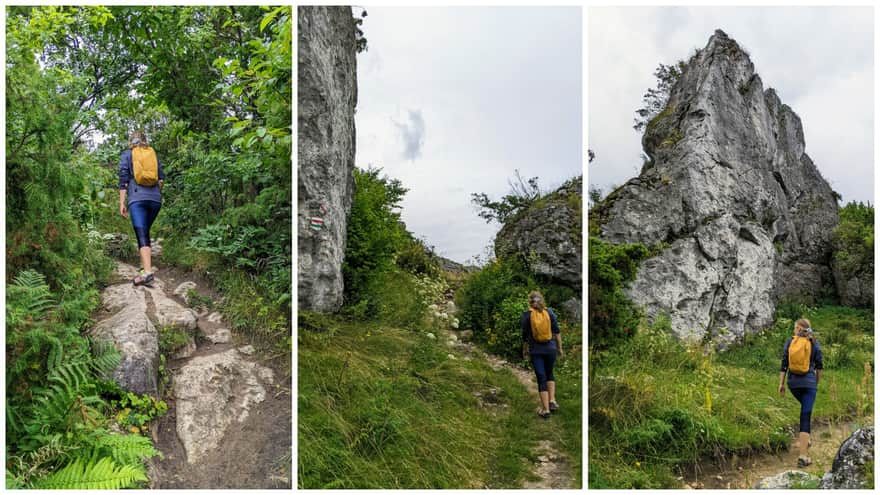 Approach under the top of Zborów Mountain