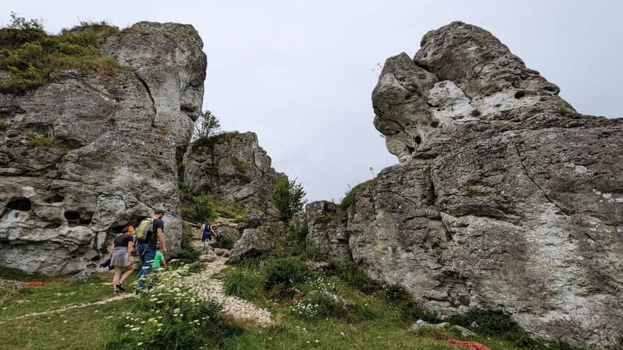 Path under the top of Zborów Mountain