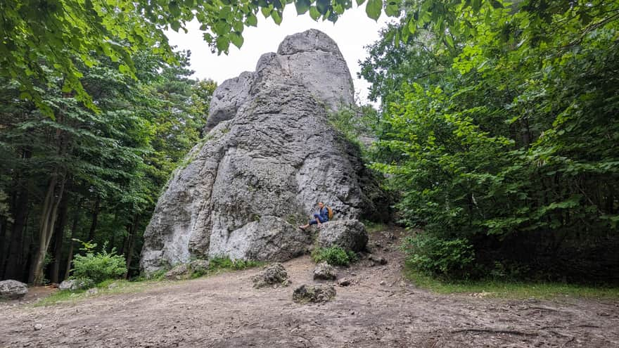 Góra Zborów, Jura Krakowsko-Częstochowska