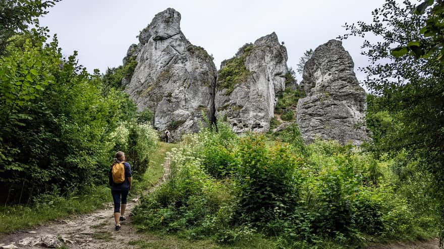 Góra Zborów, Kraków-Częstochowa Upland