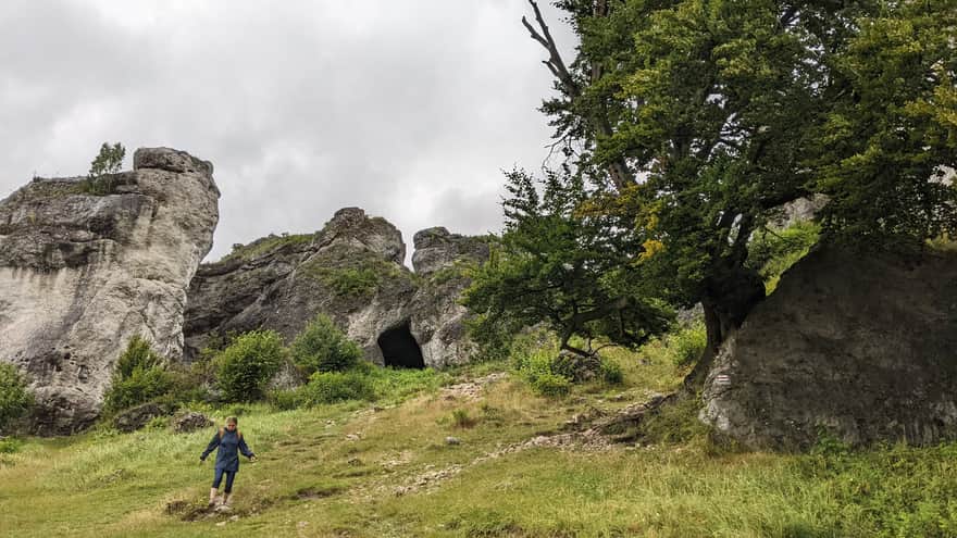 Groty i jaskinie na terenie rezerwatu Góra Zborów